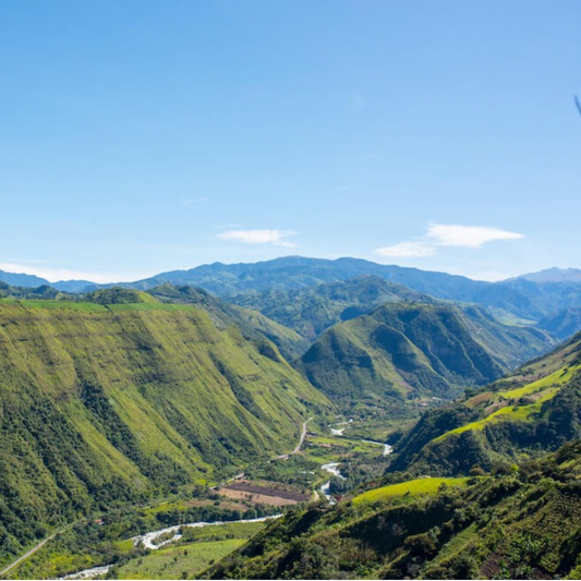 Finca Soledad Sydra Wave Washed