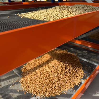 Finca Soledad Sydra Wave Washed