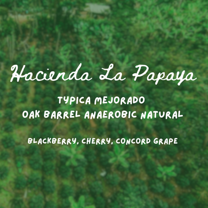 Hacienda La Papaya Oak Barrel