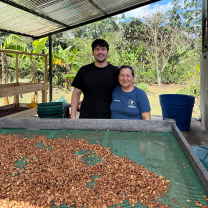 La Marquesa Typica Washed