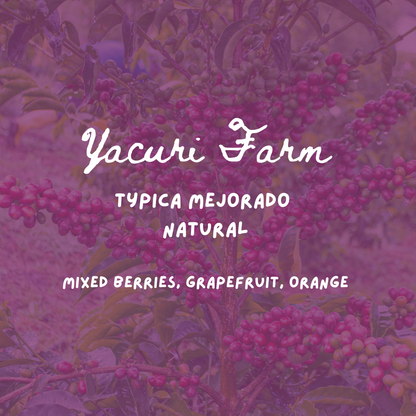 Yacuri Typica Mejorado Natural