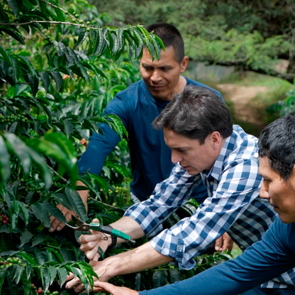 Hacienda La Papaya Oak Barrel